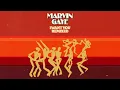 Marvin Gaye - I Want You (John Morales M+M Main Mix / Visualizer)