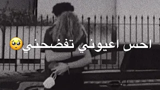 محمد عبد الجبار حنين يا باقت ورد انتي جمالج عالم الوحده حالات واتساب حب ستوريات انستكرام حب 