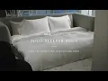 Milo Sleeper Sofa Rove Concepts