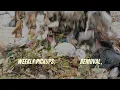 Garbage Collection Service in Dallas
