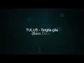 TULUS - Tergila-gila (Bass Cover)