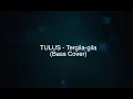 Download Lagu TULUS - Tergila-gila (Bass Cover)