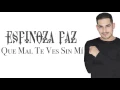 Espinoza Paz - Que Mal Te Ves Sin Mi (Video Lyrics)