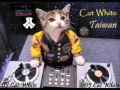 Download Lagu DJ WHiTe中文混音ｋｋ永電精選
