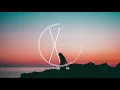 Pluko - Seventeen