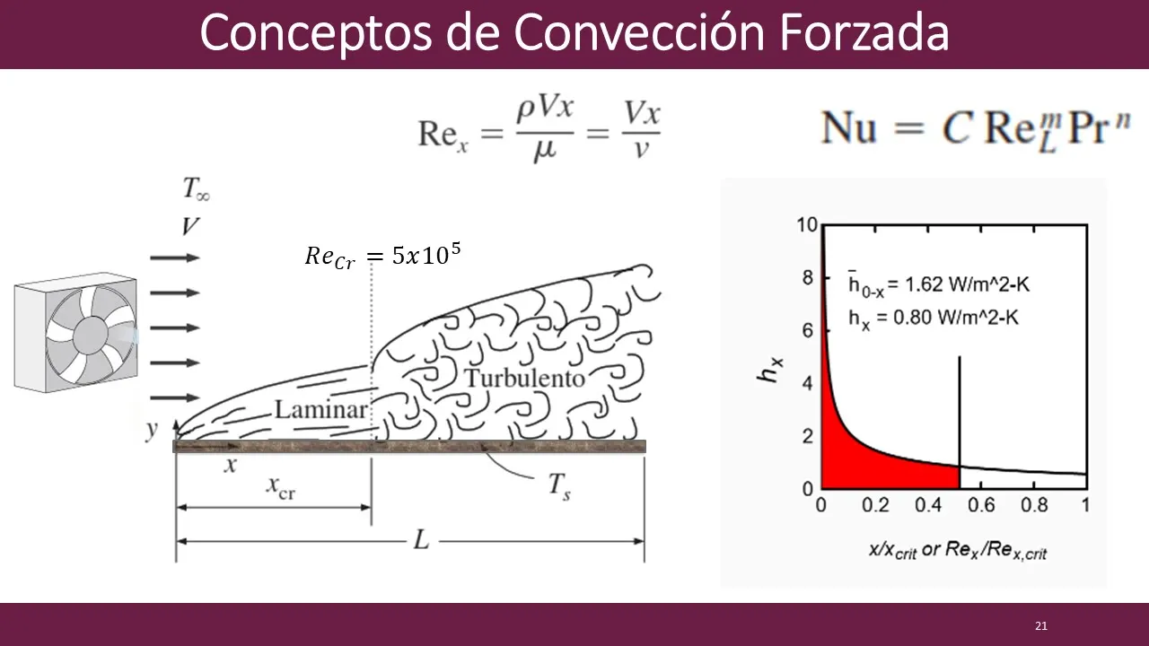 Convección Forzada en Transferencia de Calor