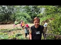Download Lagu TRAGEDI POTONG RUMPUT JALAN KEBUN ADIK IPAR DISENGAT PENYENGAT DIPINGGUL // 