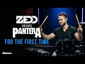 Download Lagu Zedd Hears Pantera For The First Time