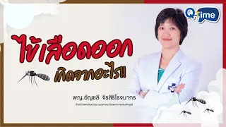  ไข้เลือดออกเกิดจากอะไร และแพร่เชื้ออย่างไร 