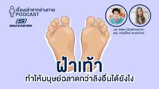เหตุใดการใช้รองเท้าและชีวิตสมัยใหม่ถึงทำให้เท้าอ่อนแอลง