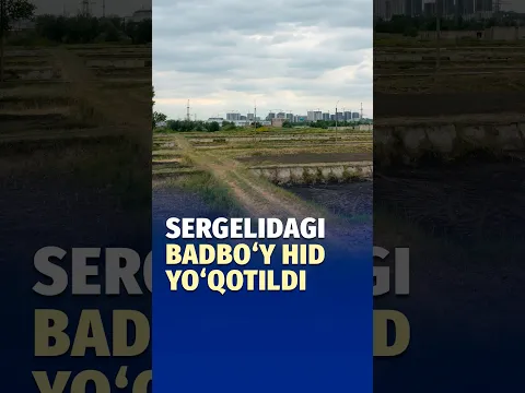 Sergelidagi badbo‘y hid yo‘qoldimi?