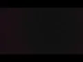 ワンナイトカーニバル2013