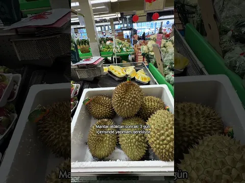 TORONTO’DA AYLIK MARKET ALIŞVERİŞİM