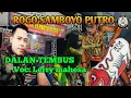 Download Lagu Lagu jaranan||Dalan tembus Voc Lerry Mahesa Rogo samboyo putro live Kesamben Blitar