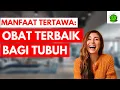 Download Lagu Manfaat Tertawa: Obat Terbaik Alami Tubuh