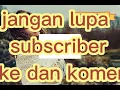 Lagu lao ma au/ lagu batak enak/cover lirik by @Bintang musik