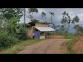 Download Lagu BIKIN HARU‼️ NEKAD IBU INI BUKA WARUNG PINGGIR HUTAN UNTUK HIDUPKAN 9 ANAK