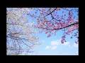 HAUSER - Mozart Piano Concerto No. 23