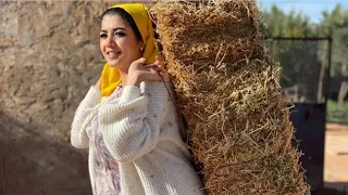 فيلم مغربي قصير المرأة الصبارة احسن فيلم لسنة 2023 