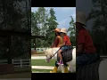Download Lagu Naik Kuda Pony di Cimory Bogor