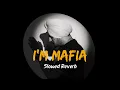 I'm Mafia - Sidhu Moose Wala | Not A Gangster I'm Mafia | Slowed Reverb | Music Vibes