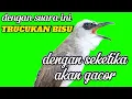 Download Lagu Trucukan gacor ropel panjang VARIASI BIKIN CEPAT EMOSI trucuka lain langsung ikutan ropel