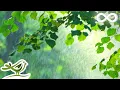 Download Lagu Ontspannende pianomuziek en regengeluiden - prachtige romantische muziek van Soothing Relaxation