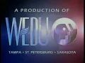 Public Television 2006