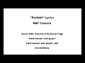 Raf camora/Sofiane - perfekt lyrics