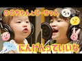 Download Lagu ののちゃん「にんげんっていいな」Music Video