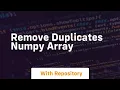 remove duplicates numpy array