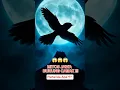 Download Lagu 😱🕊️ Suara Burung Cabak Malam Hari: Mitos Mistis atau Fakta Unik⁉️ | Cerita Alam Jawa