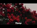 Charlie Rodd~Sonar contigo