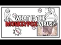 Download Lagu What is the Monkeypox virus?