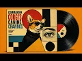 Commander Corgi s Canine Cravings Funky Playlist