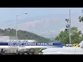 Red light cameras in Colorado Springs covered with paint