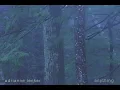 adrianne lenker - anything (official audio)