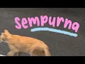 sempurna — andra and the backbone ( slowed / tiktok version ).