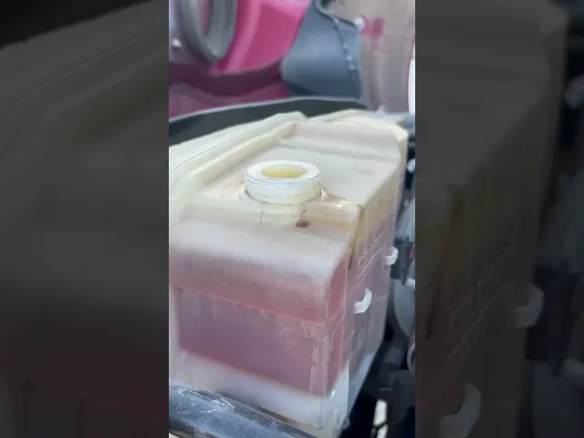 View Video