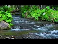 Download Lagu Het geluid van de rivier dat de concentratie verbetert (het ruisen van de rivier) [studie, slaap]