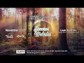 Download Lagu Summer Melodies on DI.FM - November 2020 with myni8hte \u0026 Guest Mix from Lesh