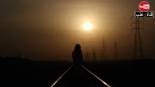 شيلة   حاولت نسيانه   ادا   فيصل ال دحباش دندنها