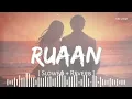 Lagu Ruaan 🥀💔(Slowed + Reverb🎧) | Pritam, Arijit Singh | Tiger 3 | Ashraful Music 🎶