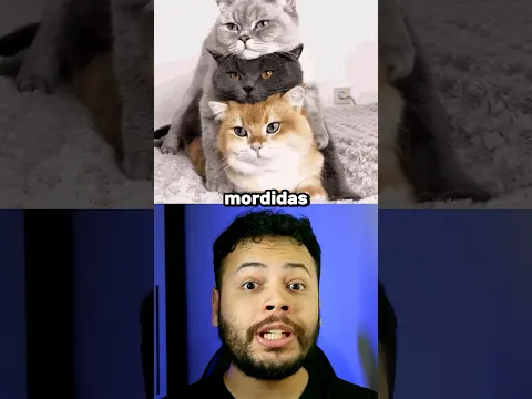 quantas MORDIDAS são NECESSÁRIAS desses ANIMAIS?