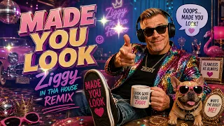 Made You Look Cover - Ziggy in tha House Feel-Good Pop Remix 2026