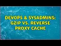 DevOps SysAdmins Gzip vs Reverse Proxy Cache