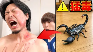 猛毒のサソリに刺されました。