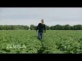 Download Lagu Is er een verband tussen Parkinson en landbouwgif op platteland?
