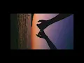Fireboy - Don't tell me NO (lyric video)