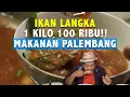 Download Lagu Pindang Ikan Belida, 1 kilo Rp 150.000!